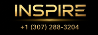 Inspire Drone Pro